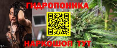 сатива Апшеронск