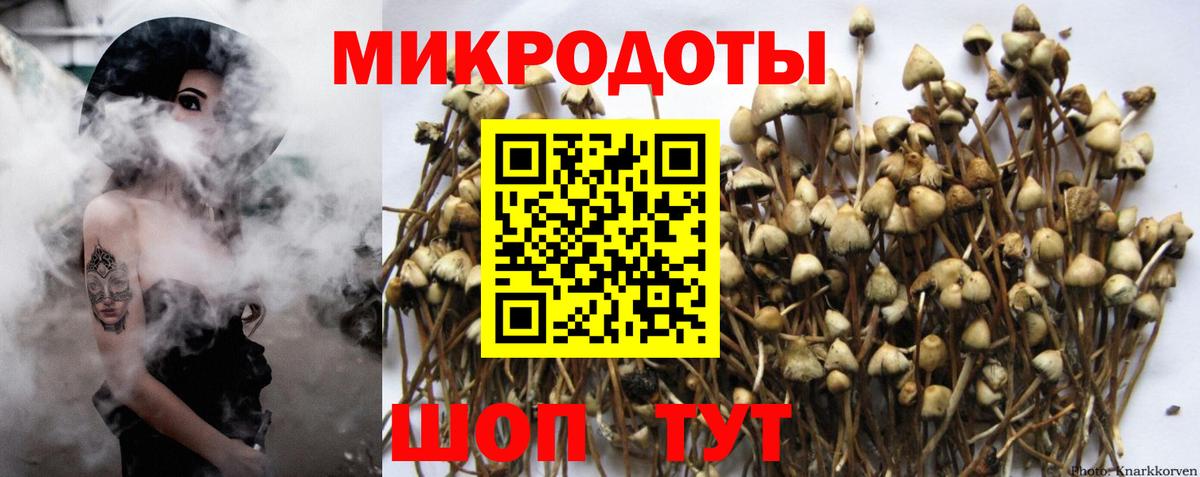 Бор  Галлюциногенные грибы Magic Shrooms  Вход с VPN 